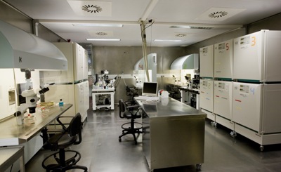 Interior-Laboratorio-donación-ovulos