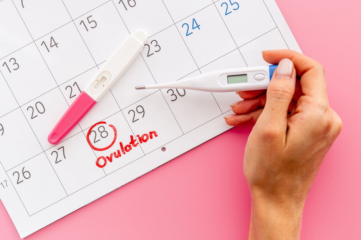 Días fértiles de una mujer
